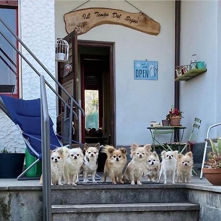 B&B Il Tempo Del Sogno Con Cani E Gatti Pet&Breakfast Бавено Екстериор снимка