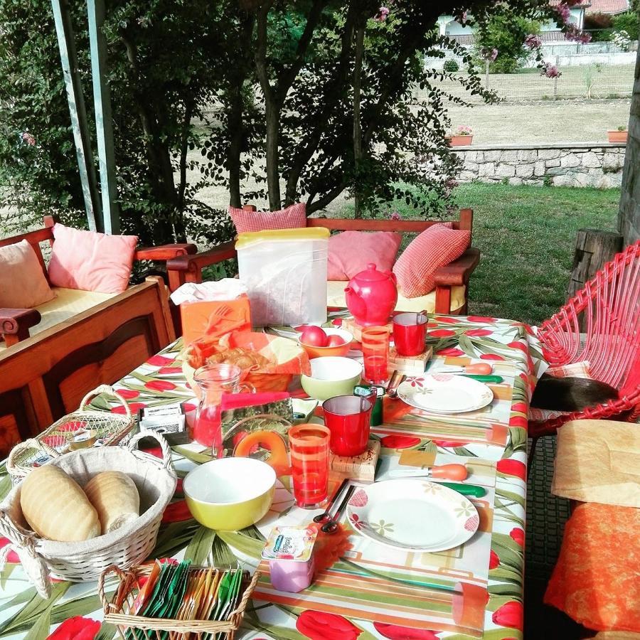 B&B Il Tempo Del Sogno Con Cani E Gatti Pet&Breakfast Бавено Екстериор снимка
