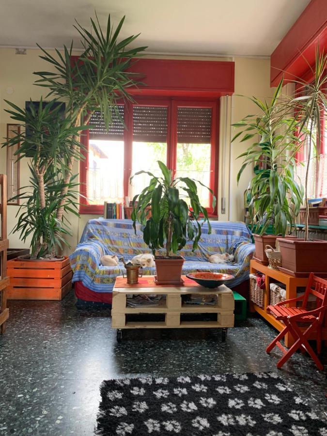B&B Il Tempo Del Sogno Con Cani E Gatti Pet&Breakfast Бавено Екстериор снимка