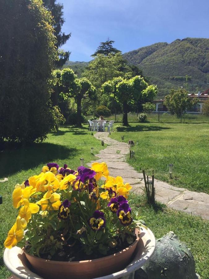 B&B Il Tempo Del Sogno Con Cani E Gatti Pet&Breakfast Бавено Екстериор снимка